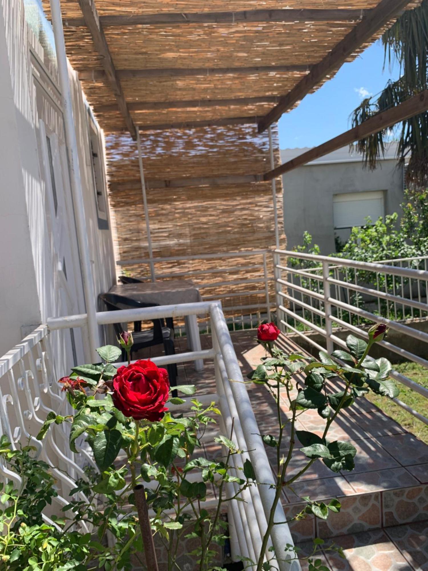 Apartmani Antonela 塞利讷 外观 照片